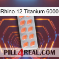 Rhino 12 Titanium 6000 26